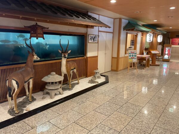 鴨川ホテル三日月でプール&温泉&グルメ満喫ブログ